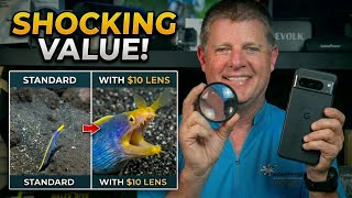 Budget Macro Videography | Real Underwater Results