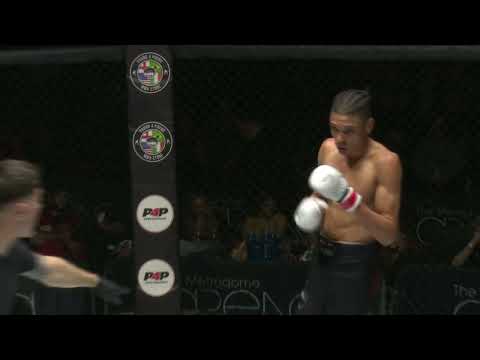Almighty Fighting Championship 29 - AJ Hall vs Lewis Wood