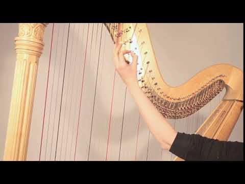 Double octave harmonic