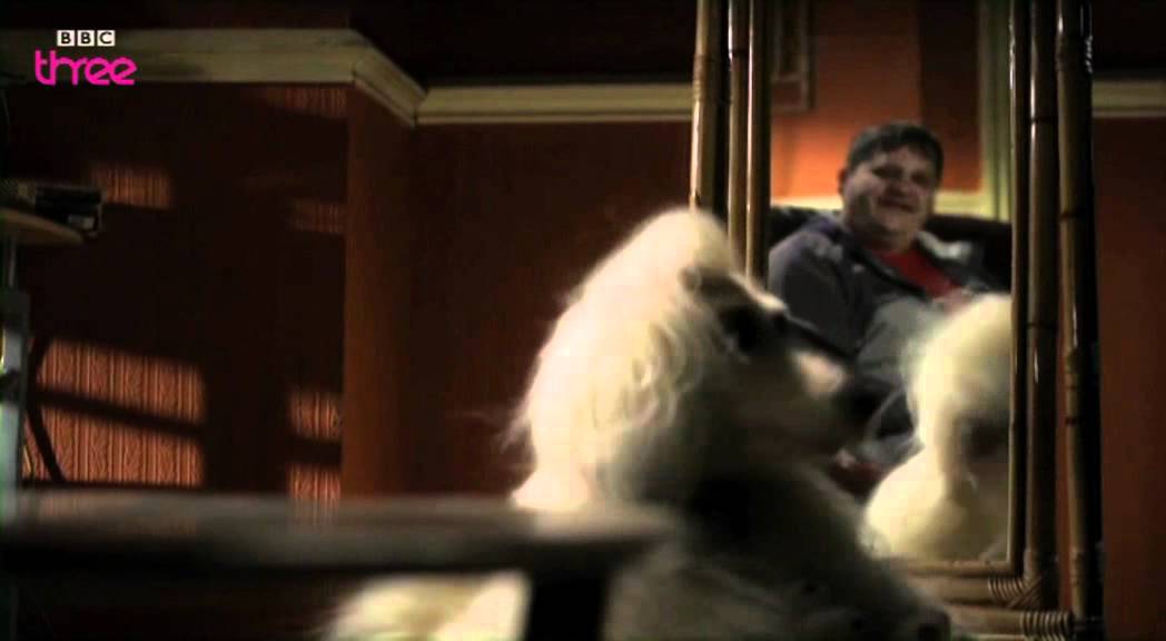 Dog vs. Cat: The Cute-Off - Mongrels - Series 2, Episode 3 - BBC