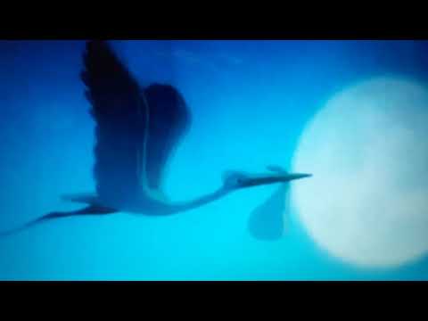 Rana L'Inno Del Girino Dumbo Part 1 Main Title / 'Look Out For Mr. Stork'