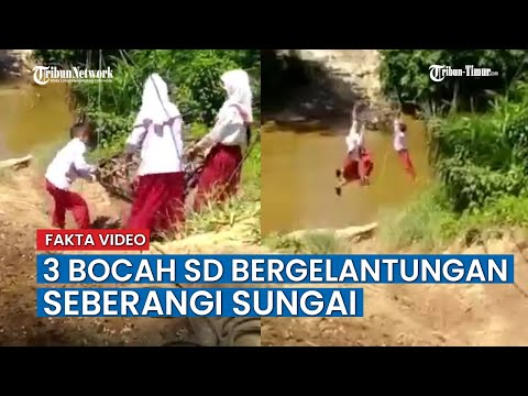 Cerita Sebenarnya Bocah SD Bergelantungan di Atas Sungai Pasca Viral di Media Sosial - Tribun-timur.com