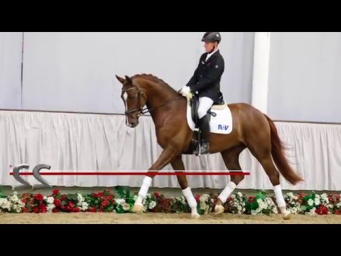 22 Sapporo  Wallach v. Sir Fidergold - Trento B