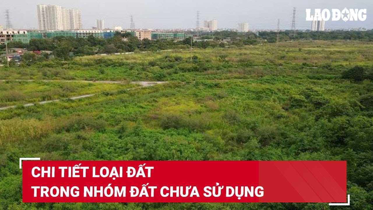 Chi tiết loại đất trong nhóm đất chưa sử dụng