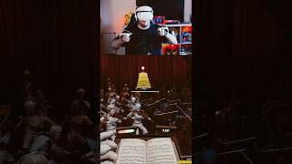 Who brought the seagull? #psvr2 #MaestroVR #vr