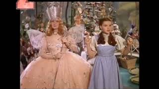 Wizard Of Oz - It Really Was No Miracle #TikTok