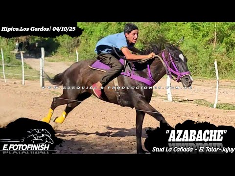 1°AZABACHE vs 2°ROMEO Club Hipico Los Gordos El Talar-Jujuy Sábado 4 de oct 2025