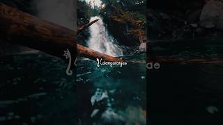 Download lagu Anal Mele Panithuli Song Lyrics | WhatsApp Status Tamil | Tamil Lyrics Song mp3 Download lagu Anal Mele Panithuli Song Lyrics | WhatsApp Status Tamil | Tamil Lyrics Song mp3