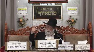 הרב אהרון ירחי | הלכות | מוסאיוף (בית הכנסת מוסאיוף - ערוץ חדש) - התמונה מוצגת ישירות מתוך אתר האינטרנט יוטיוב. זכויות היוצרים בתמונה שייכות ליוצרה. קישור קרדיט למקור התוכן נמצא בתוך דף הסרטון