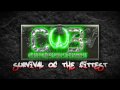 CWE Live Pro Wrestling In New York City And New Jersey