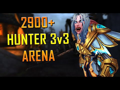2900+ Marksmanship Hunter 3v3 Arena #3 [Shadowlands]