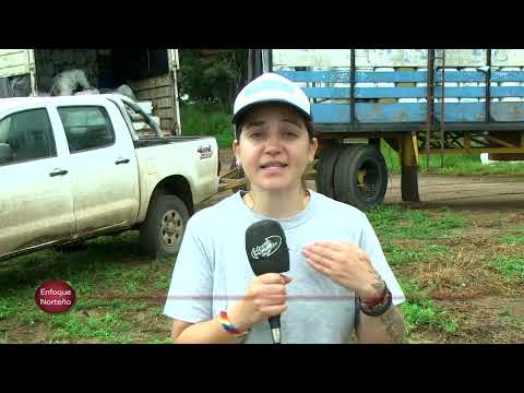 3ºBloque Enfoque Norteño 21   3   26   Parera campaña de recolección de envases cacios de agroquímic