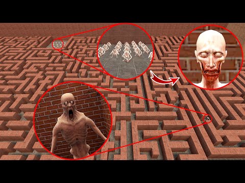 Never Going Again To Maze Full Of SCP-096 In Garry's Mod #45