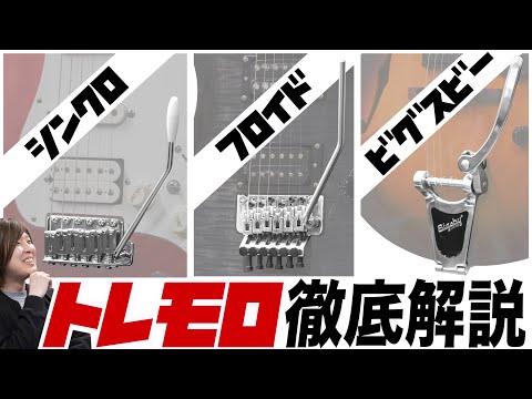 What's the difference between synchronized, Bigsby, and Floyd Rose? A comprehensive guide to the ...