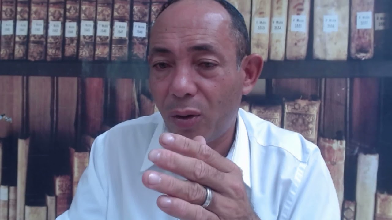 Sonhar cortando a cabeça de uma cobra significado dos sonhos cortando cabeça de cobra significados