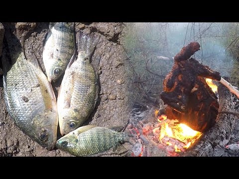 Fish Catch n Cook | Full Chicken Tandoori | Camp Cooking | EP 10