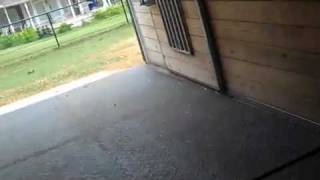 The Ride of Your Life