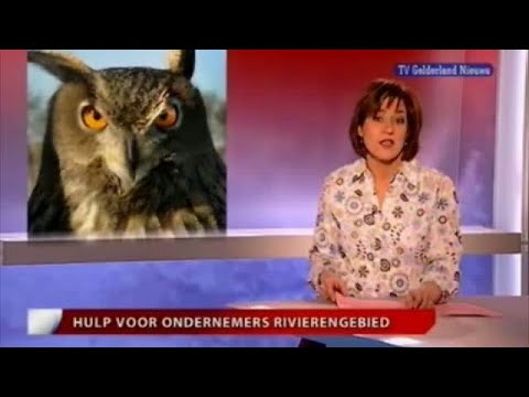 GLD Nieuws 16 februari 2008 - Nieuws