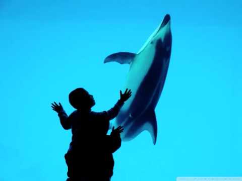 Daniel Kandi Vs. Lemon & Einar K Vs. LarSson & Lucas Comes - Child Of Hope (Liftburg Re-Mash)