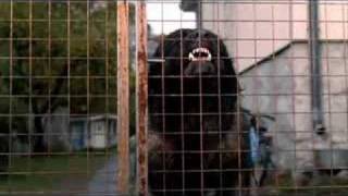 Myrsky Official Trailer