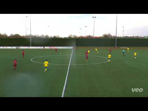 Legmeervogels - AMVJ