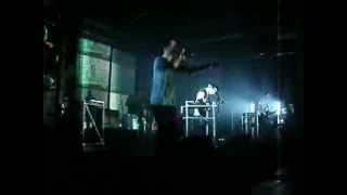 Loterie - Fauve