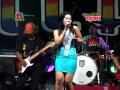 Secawan Madu   Devi Aldiva   New Pallapa Live In Sambikerep   YouTube