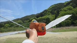 Copy  Mr kakuta Flaptter   2nd flight video