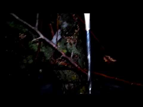 4870 kHz Radio Sedaye Kashmir