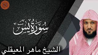 Download lagu الشيخ ماهر المعيقلي سورة يس mp3 Download lagu الشيخ ماهر المعيقلي سورة يس mp3