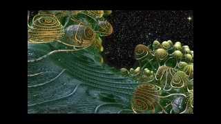 Paul Johnson - "I Need You" (original mix)