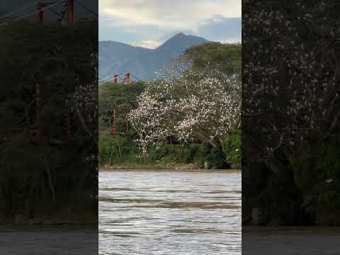 PESCANDO EN LA PINTADA ANTIOQUÍA CUANDO NO PICA SE DISFRUTA DEL PAISAJE.