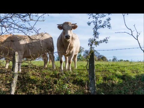 La Grange Haute, un gîte quelque part en Aubrac, 