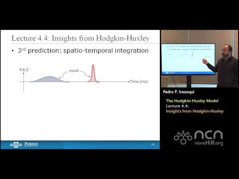 nanoHUB-U Bioelectricity L4.4: Hodgkin-Huxley Model - Insights from Hodgkin-Huxley