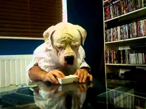 Half dog half man eats Dunkaroos _ ShahZadBwN 03136509630