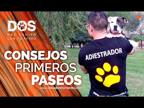 Your Puppy's First Walks | Tips 📝🐶✌🏼