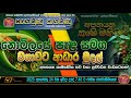 නොමිලේ පැල සමග වගාවට ආධාර මුදල් අපනයන 