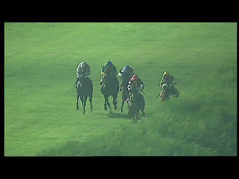 Napoli Galoppo 18/08/2021 - 4ª corsa