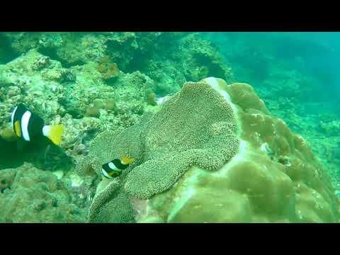 2018 1230 170530 030