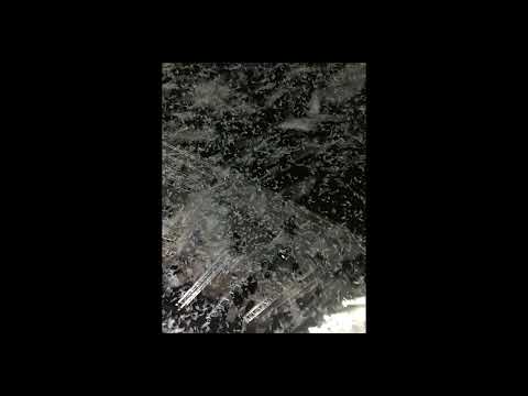 QUEBONAFIDE X Natalia Szroeder - "SSL" | DARK PIANO TYPE BEAT [prod. Grew]