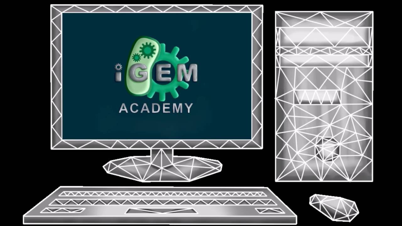 Wiki Tutorial #2 - HTML Introduction