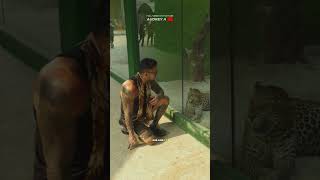 Download lagu IT'S INSANE! THIS ZOO HAS A RARE TURTLE AND THE ONLY CROCODILE OF ITS KIND IN INDONESIA mp3 Download lagu IT'S INSANE! THIS ZOO HAS A RARE TURTLE AND THE ONLY CROCODILE OF ITS KIND IN INDONESIA mp3