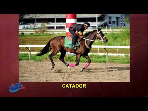 Recta Final a la Serie Hípica del Caribe 2017 - Copa Velocidad