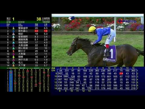 2014 New Zealand Derby G1 - Puccini (歌劇大師) - M.Walker