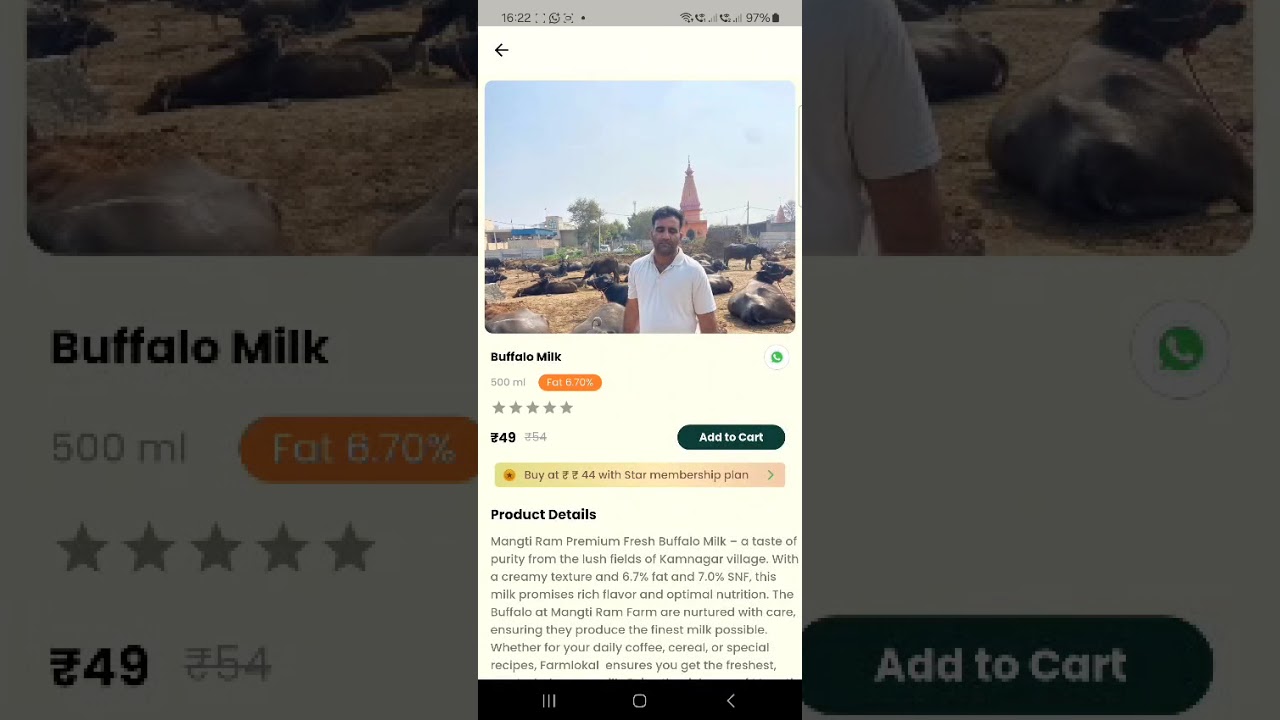 A2 Gir Cow Ghee – Pure Bilona Method