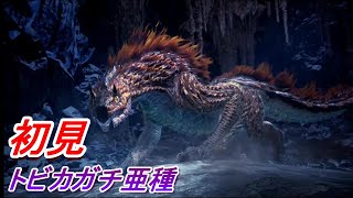 初見トビカガチ亜種【モンスターハンターワールドアイスボーン新天地で狩猟生活】