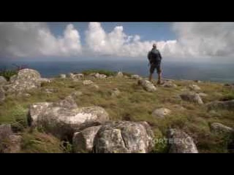 Australia Strange creatures First four Billion years Nova 4/4