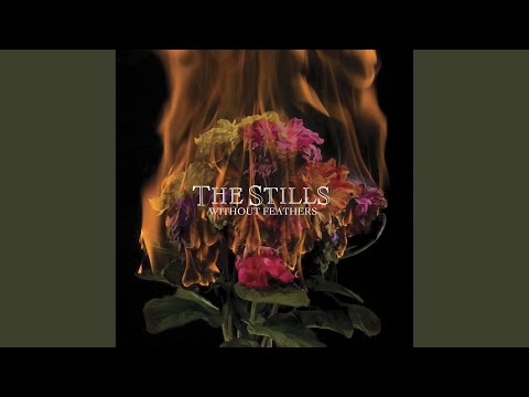 In the Beginning - The Stills