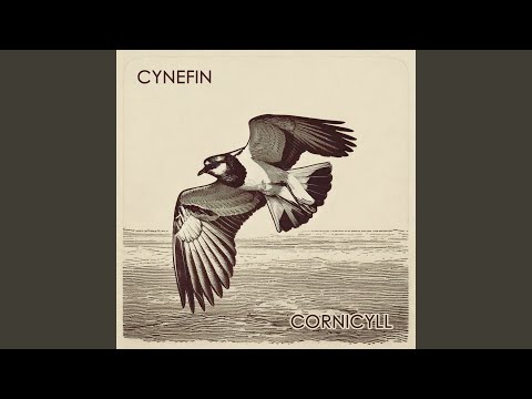 Cornicyll - Cynefin