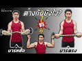 บาร์หยัก กับ บาร์ตรง แบบไหน สร้างกล้ามหน้าแขนได้ดีที่สุด | FITDESIGN